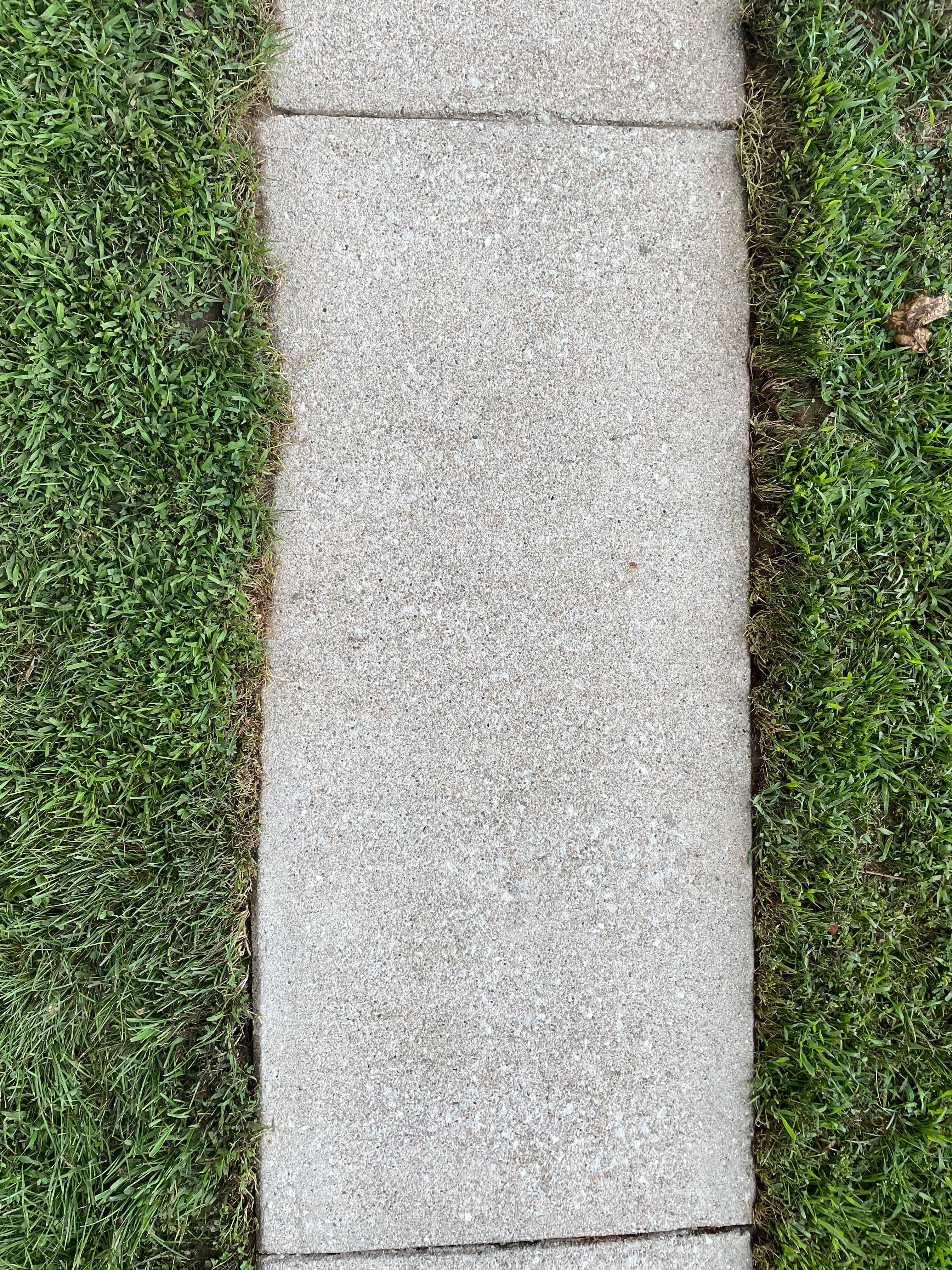 Freshly cleaned concrete path in Wheatfield, Indiana, with vibrant green grass lining the edges.