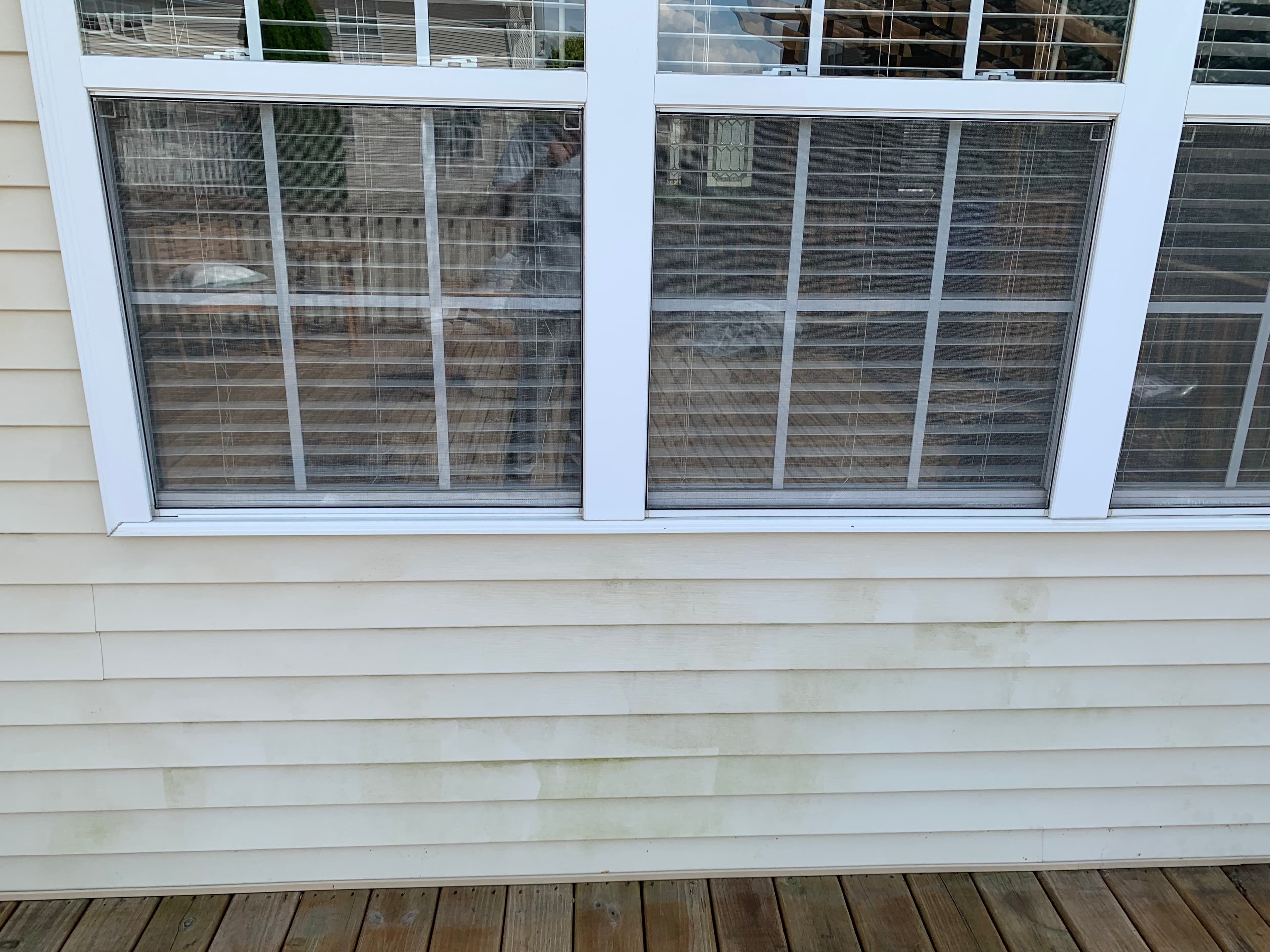 Green algae and dirt visible on vinyl siding of a Hobart house, pre-washing, with wooden deck below.