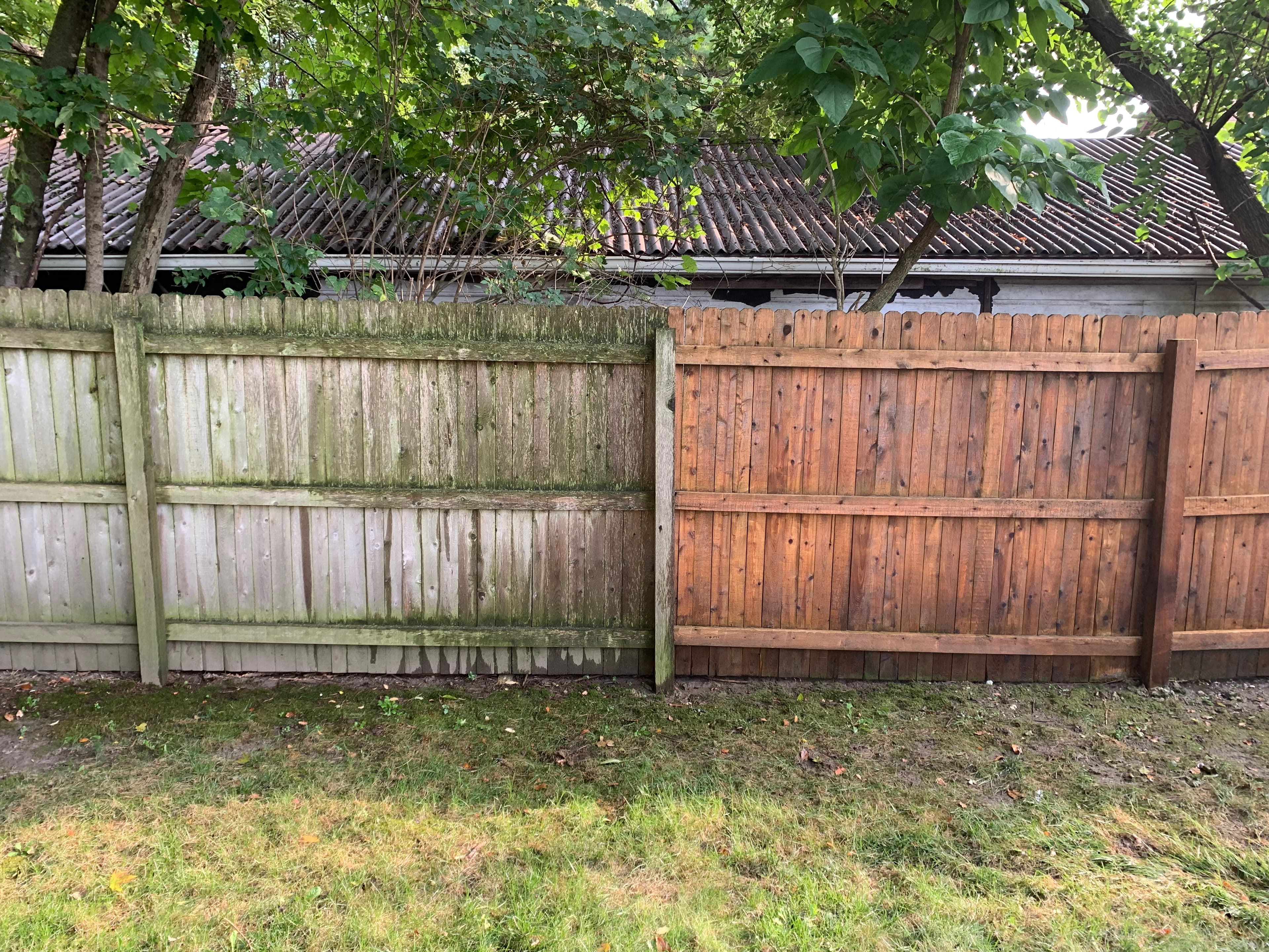 Fence Washing in Valparaiso reveals a dramatic contrast between a clean wooden fence and a weathered, mossy section.