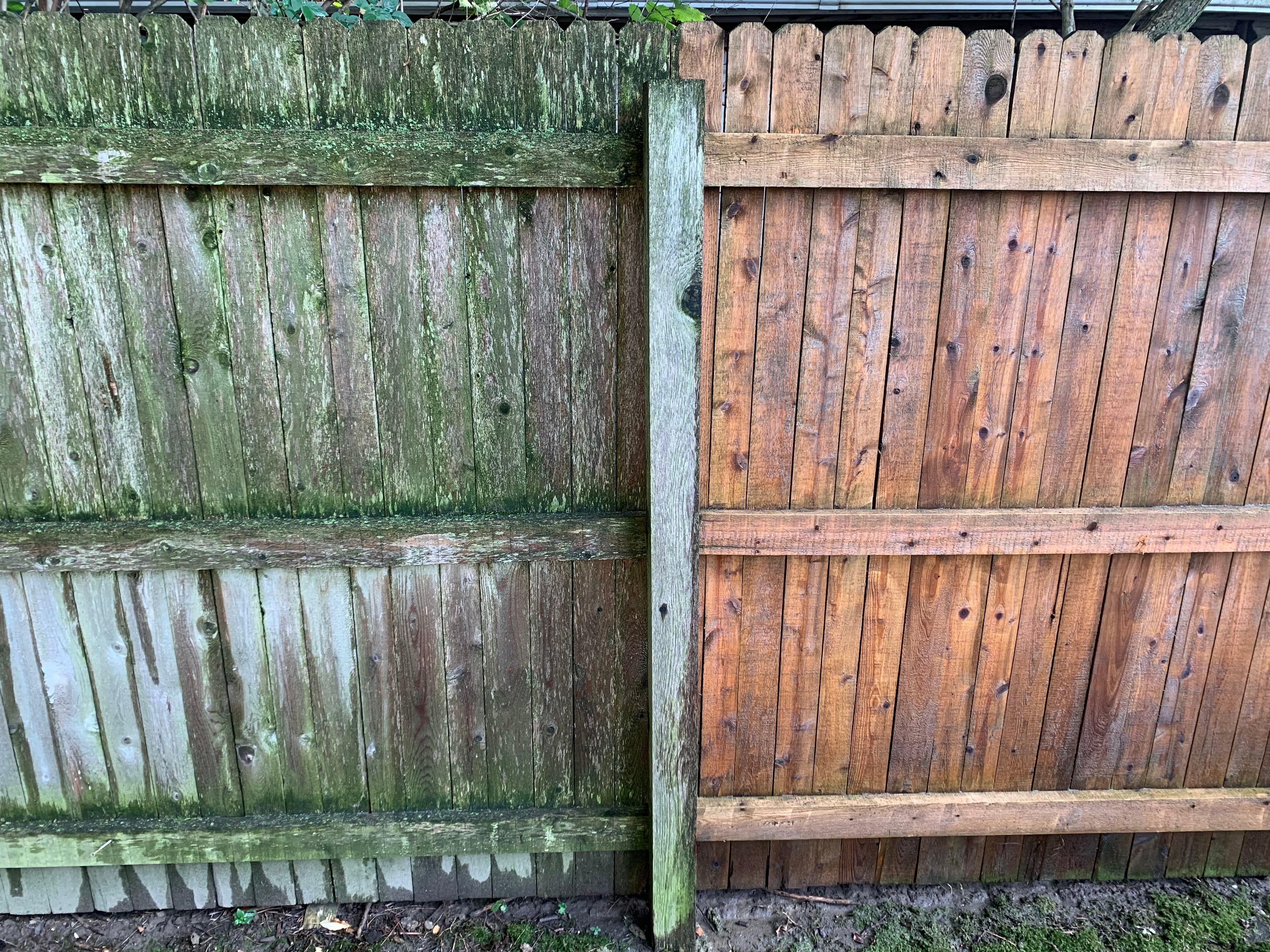 Close-up of Fence Washing in Valparaiso showing a clear division between a freshly cleaned fence and a moss-covered one.