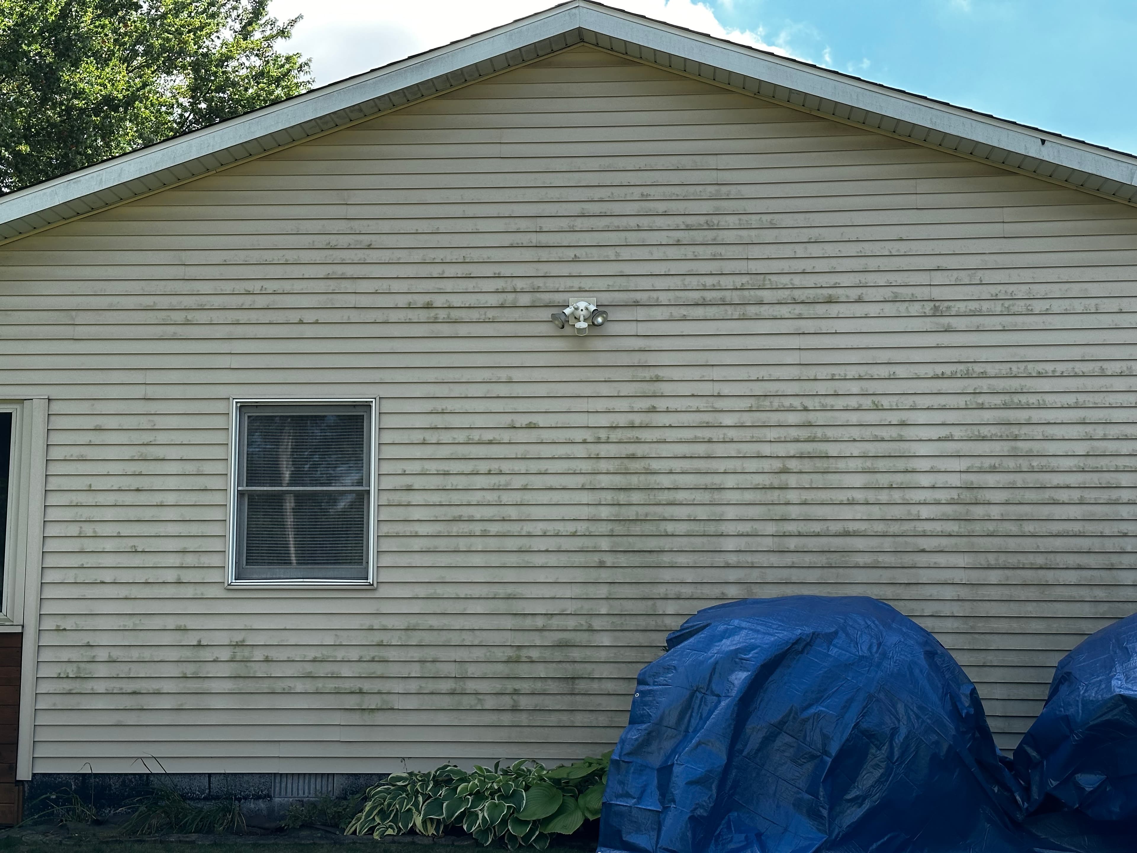 Dirty vinyl siding with visible algae growth prior to house washing in Crown Point, Indiana.