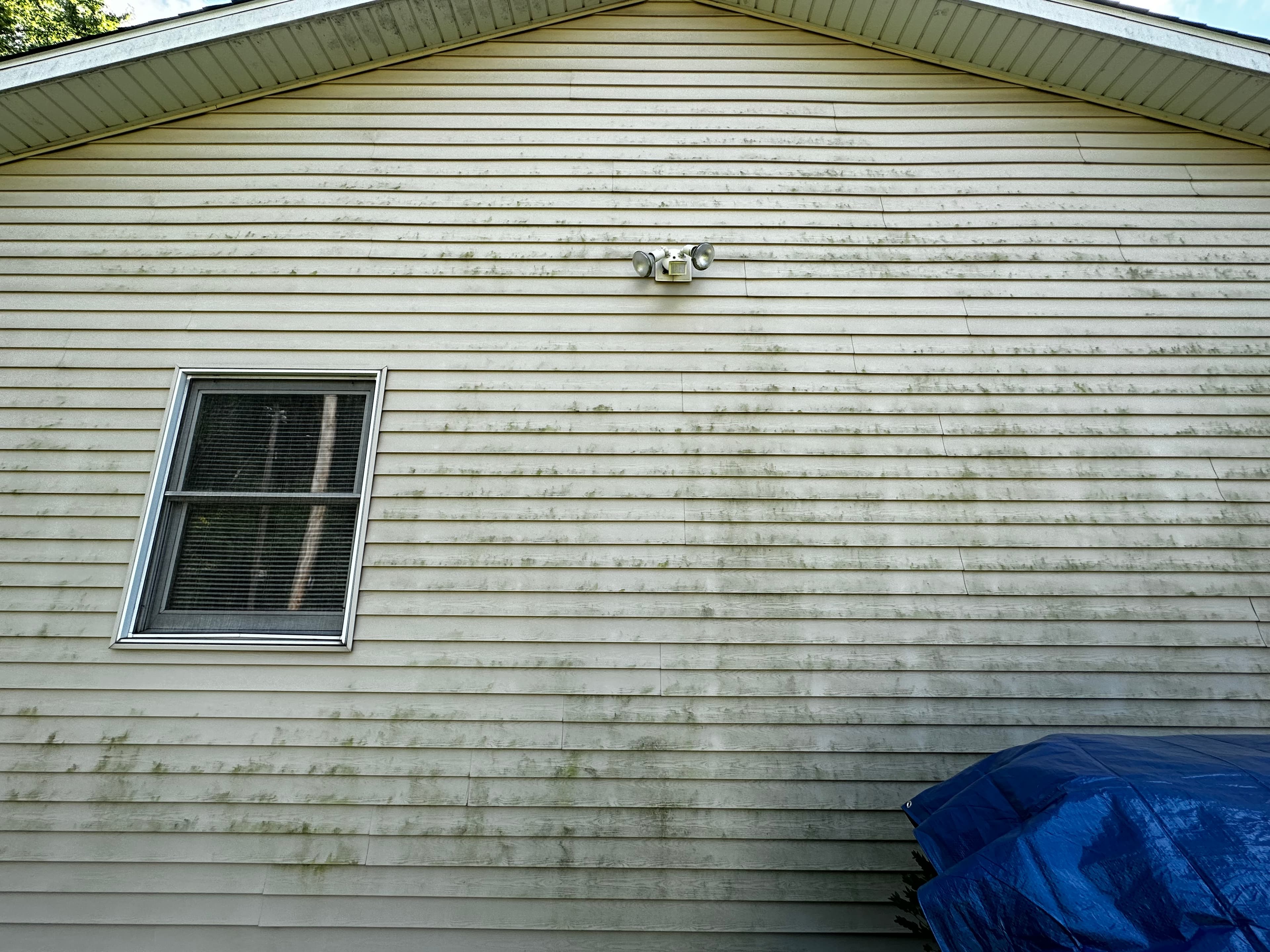 Close-up of algae-stained siding before house washing in Crown Point, highlighting the need for cleaning.