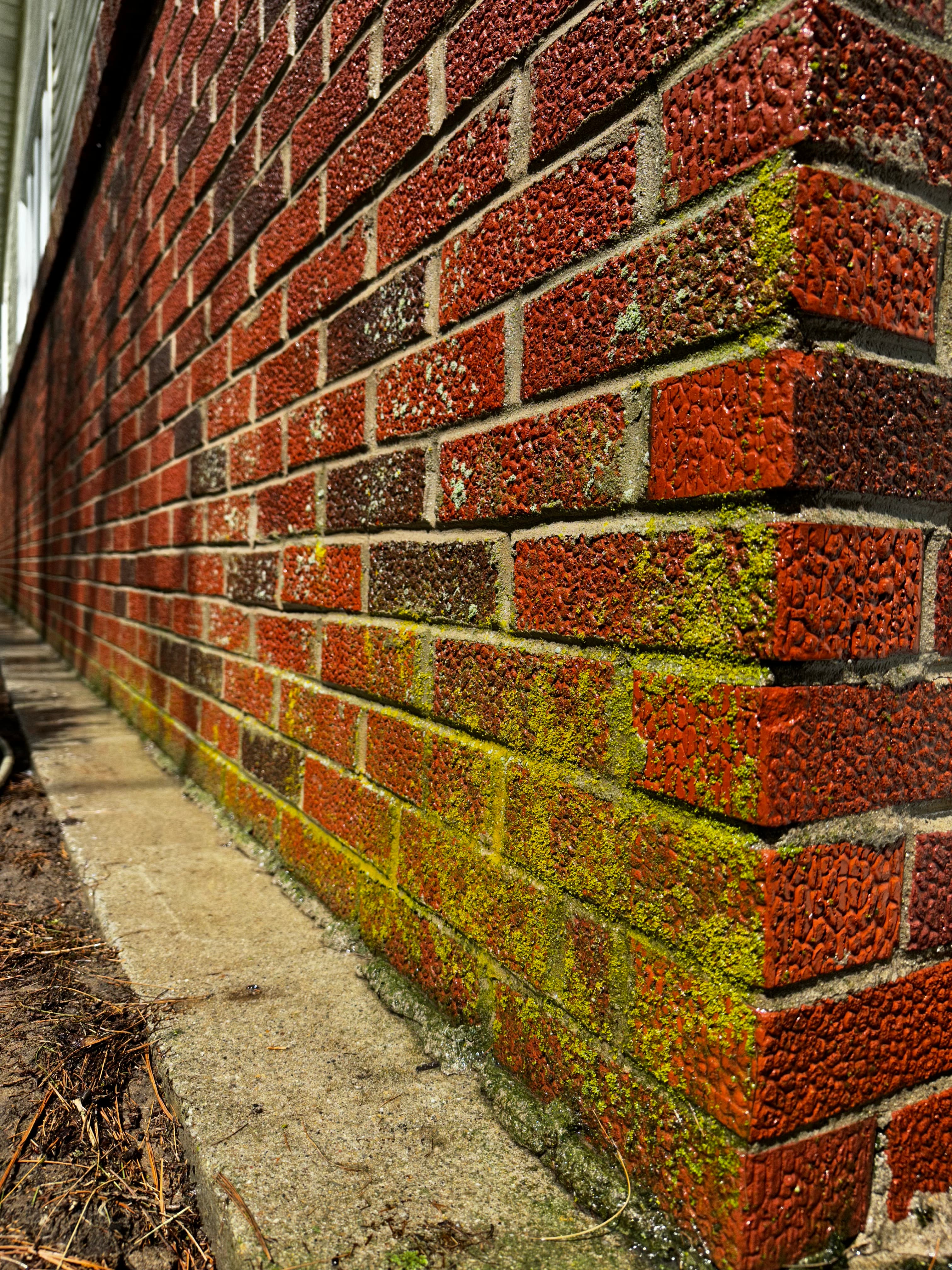 Transforming Brick and Siding for a Wheatfield Property Sale