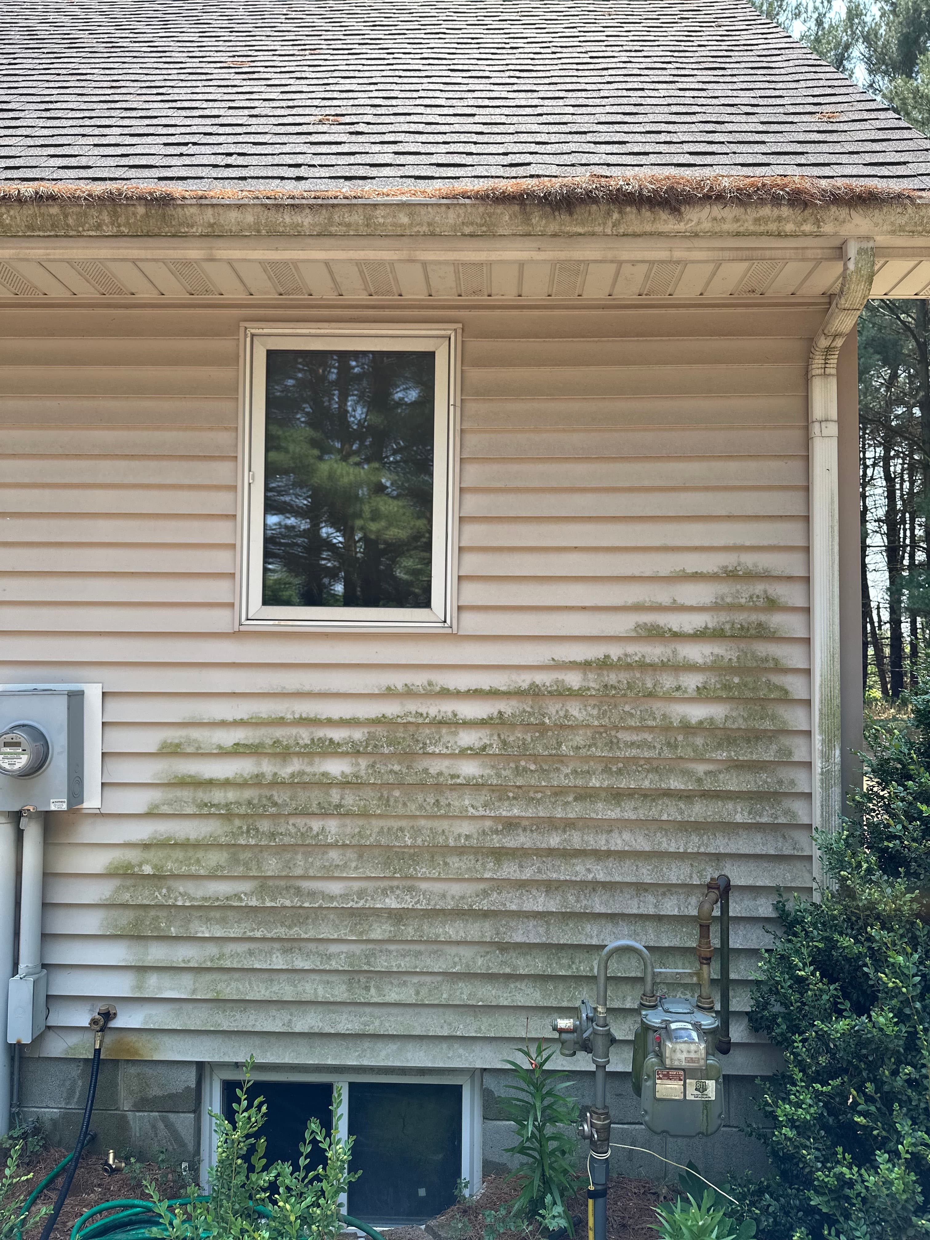 Side view of a house in Hobart with visible algae on vinyl siding before pressure washing by NWI Pressure Washing.