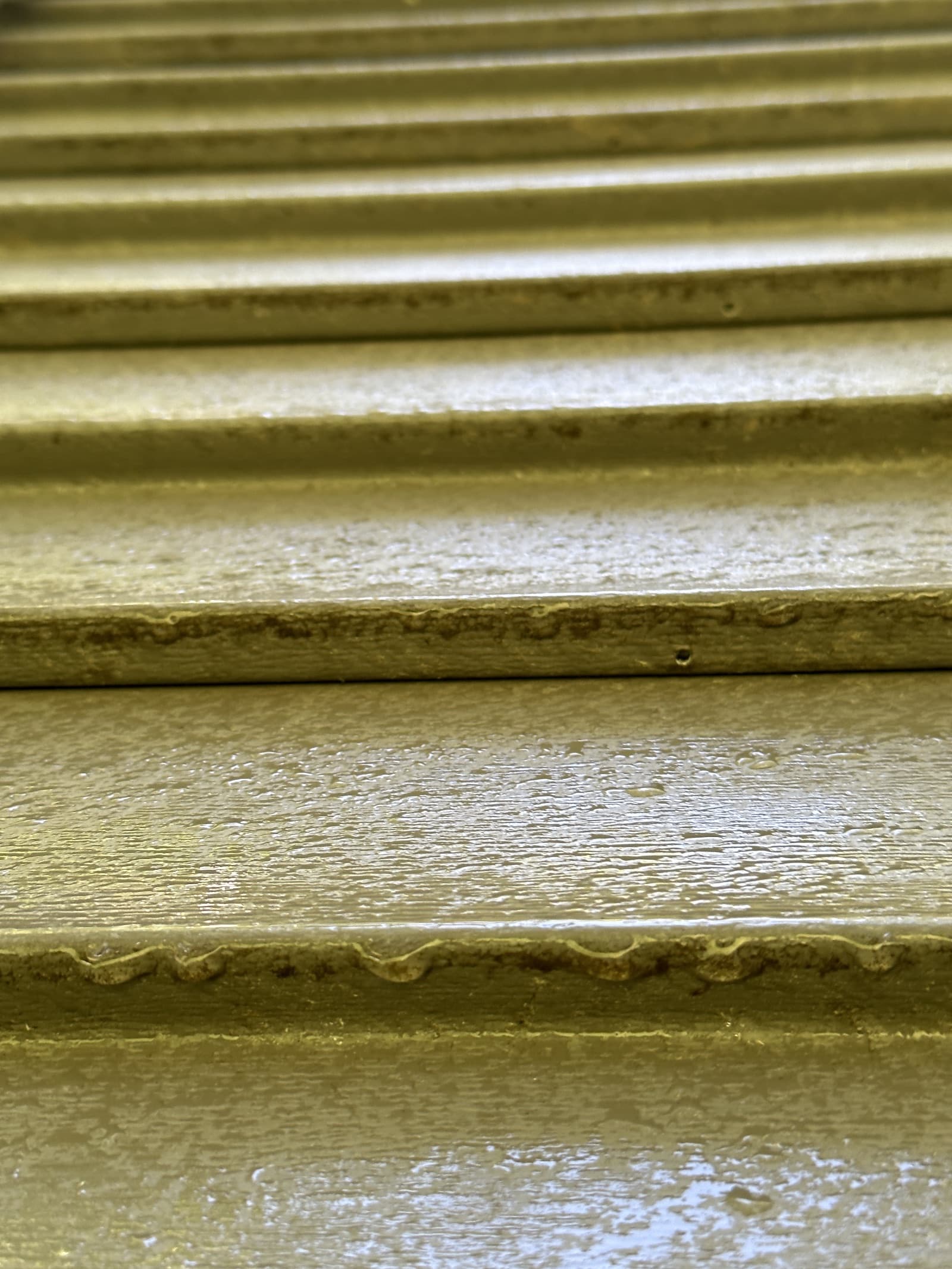 Close-up of algae-covered metal roof before cleaning in Demotte, Indiana.