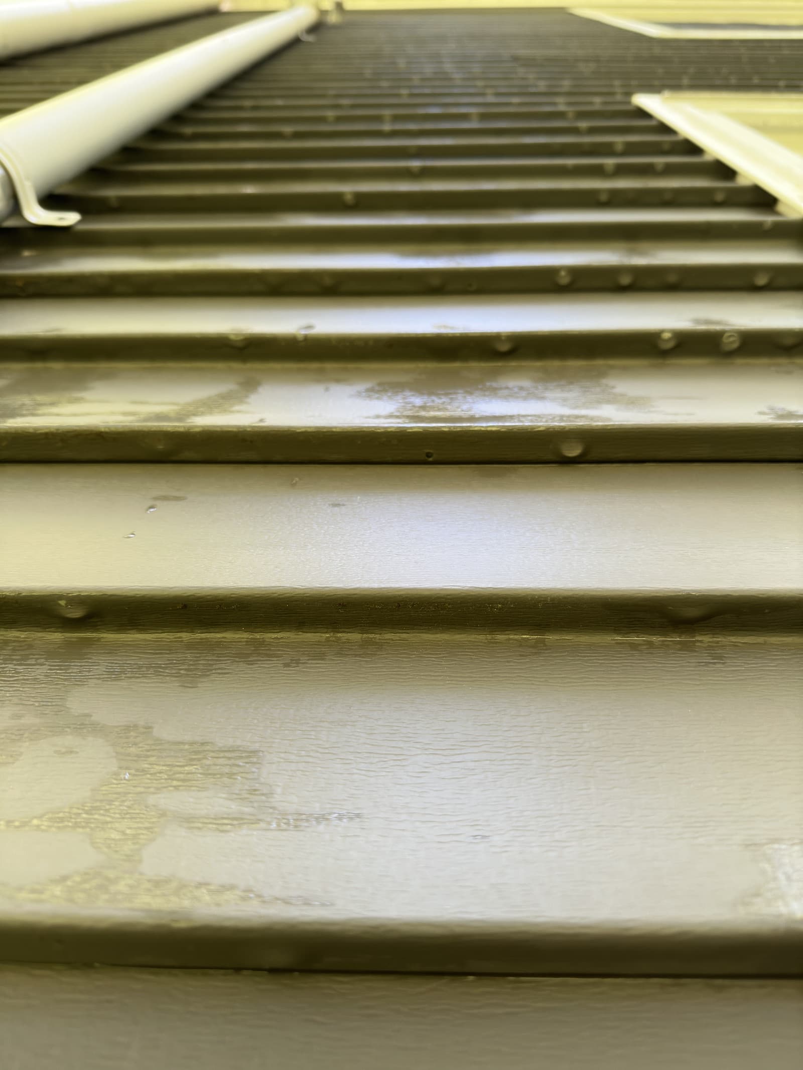 Close-up of algae on vertical vinyl siding before cleaning in Demotte, Indiana.