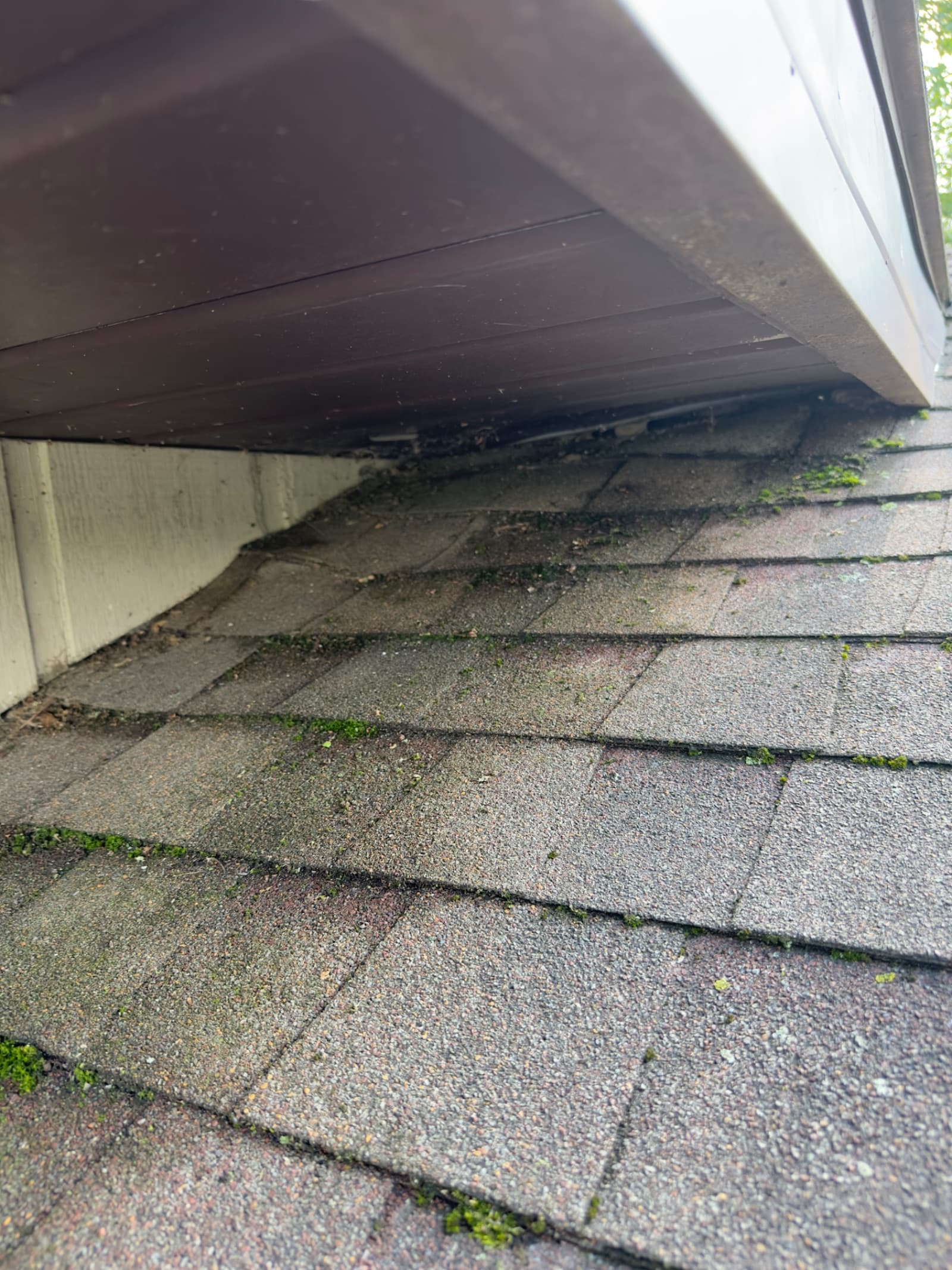 Moss growth on asphalt roof shingles under eaves