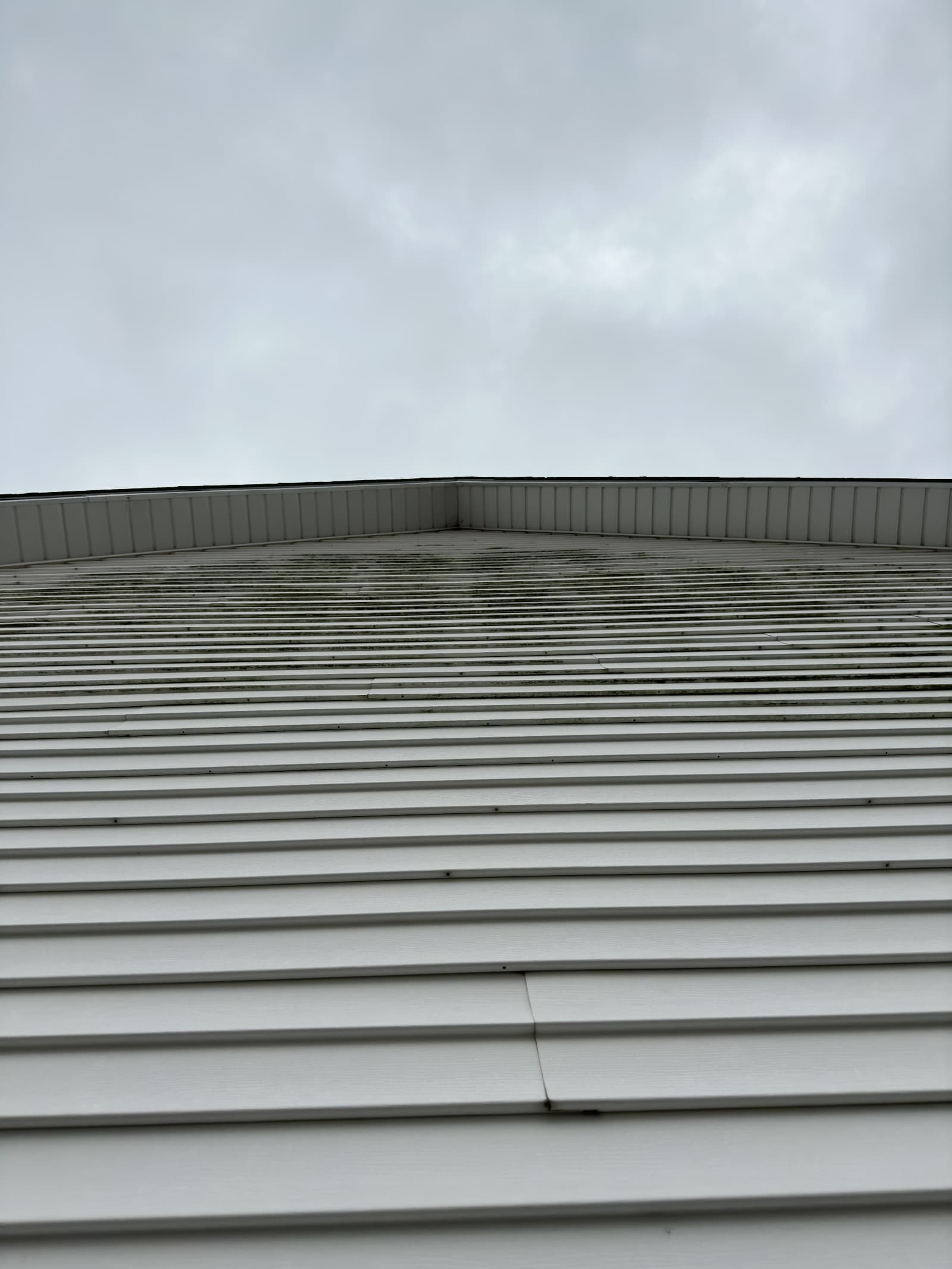 Vertical view of vinyl siding with mildew stains in Crown Point, Indiana.