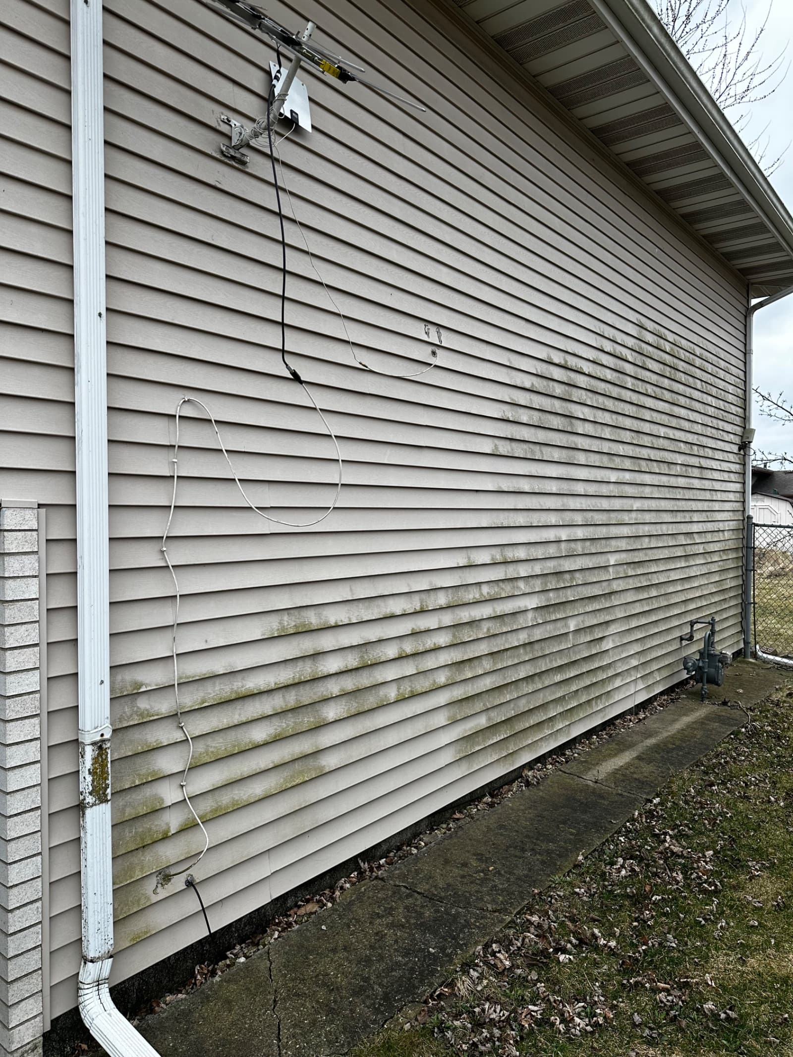 Vinyl siding with green algae stains before cleaning in Demotte, Indiana.