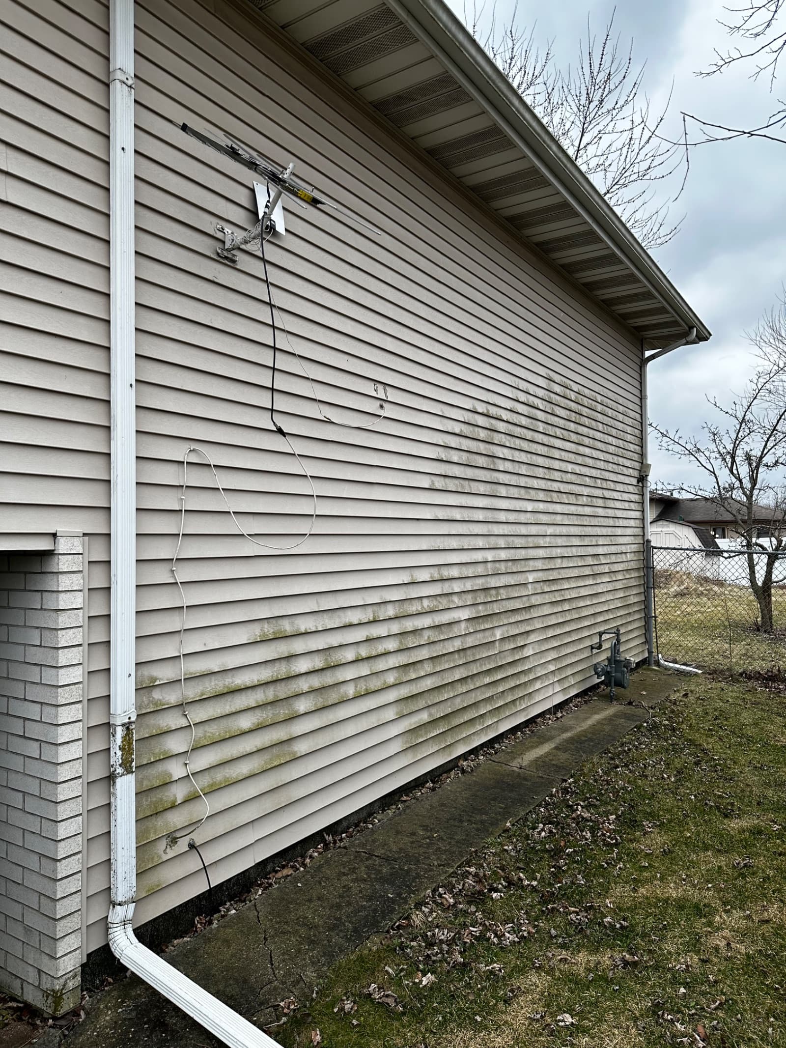 Dirty vinyl siding with green algae stains before cleaning