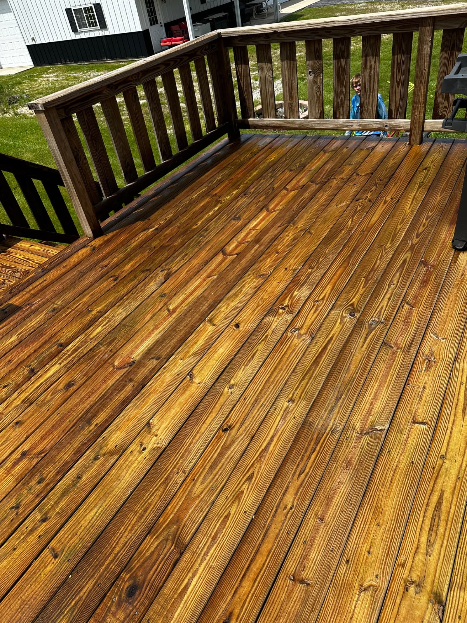 Clean wooden deck with restored finish in sunlight