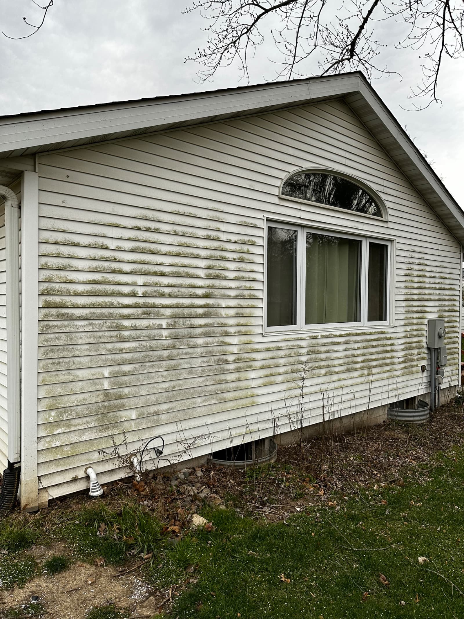 Exterior of house with green algae on white vinyl siding