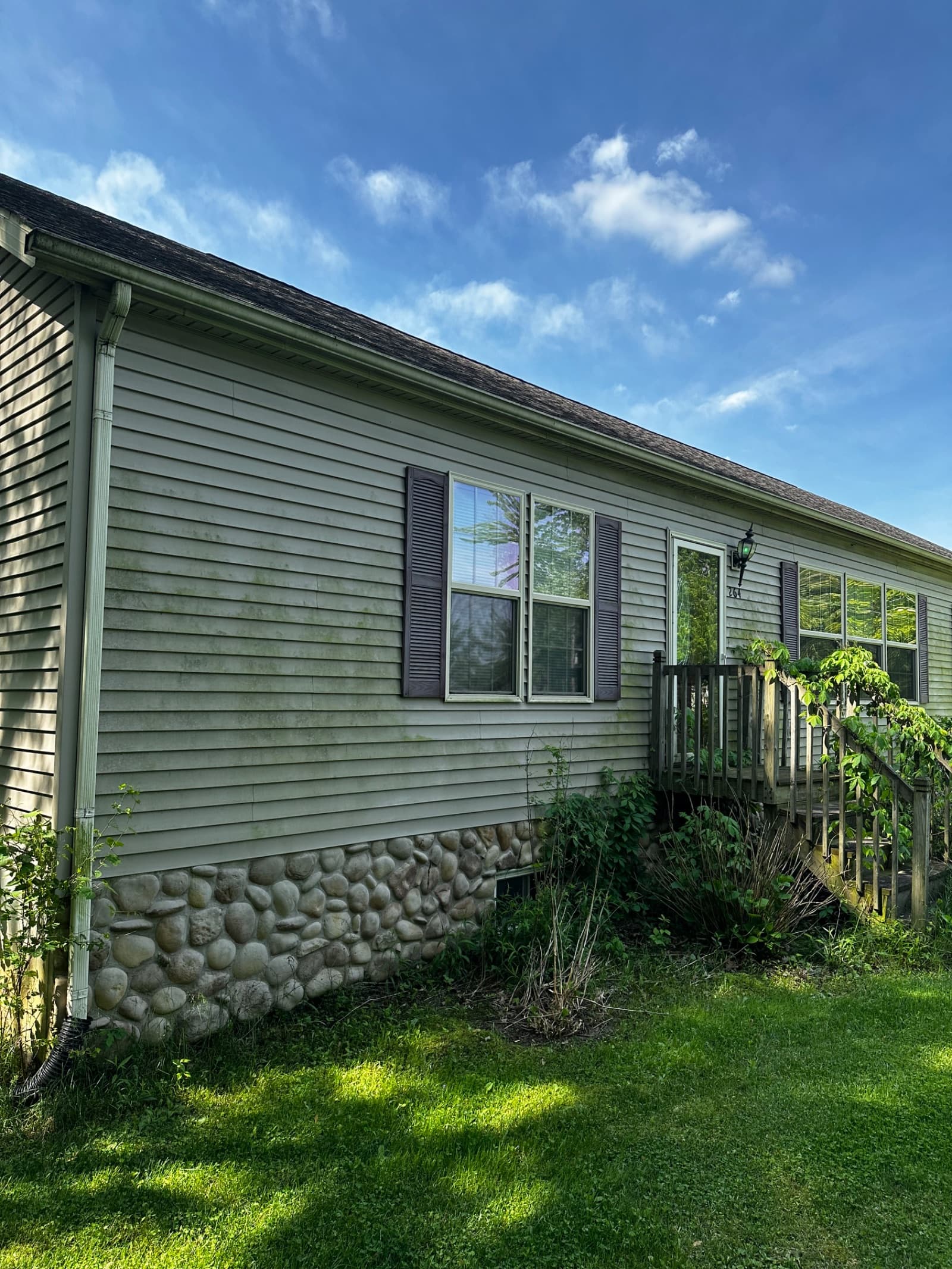 Green algae on vinyl siding of house in Lowell, Indiana