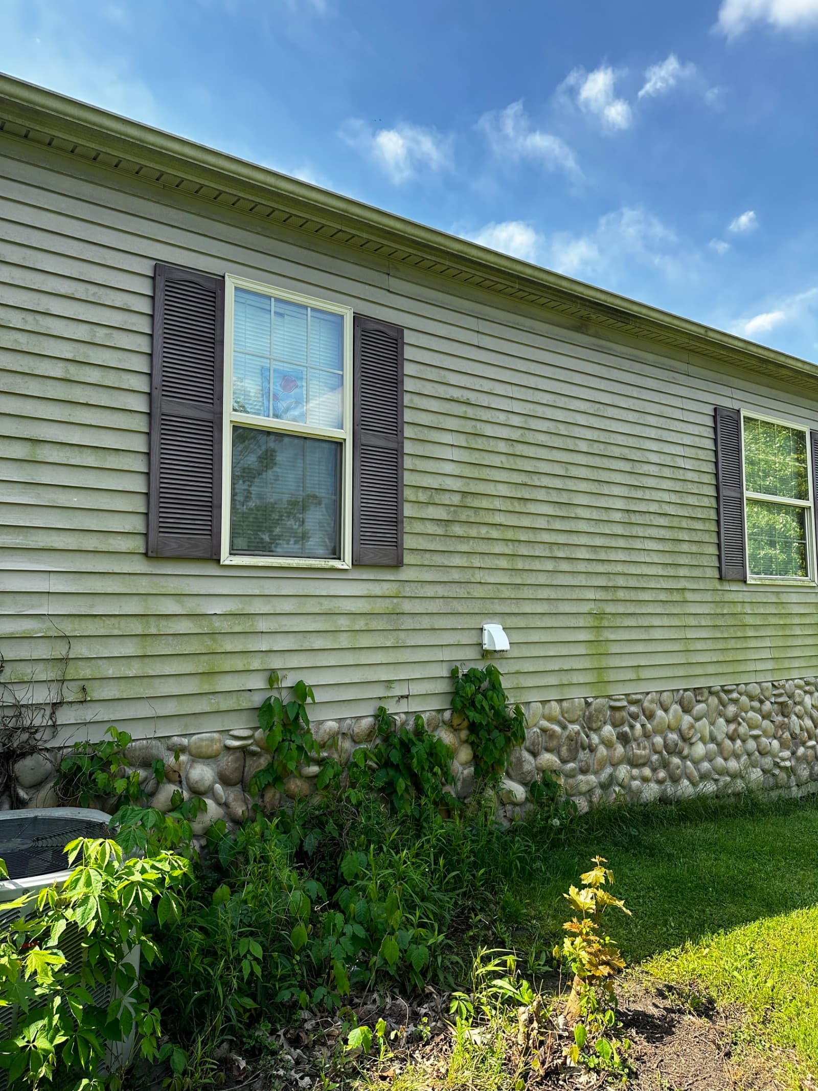 Green algae on vinyl siding of house in Lowell, Indiana