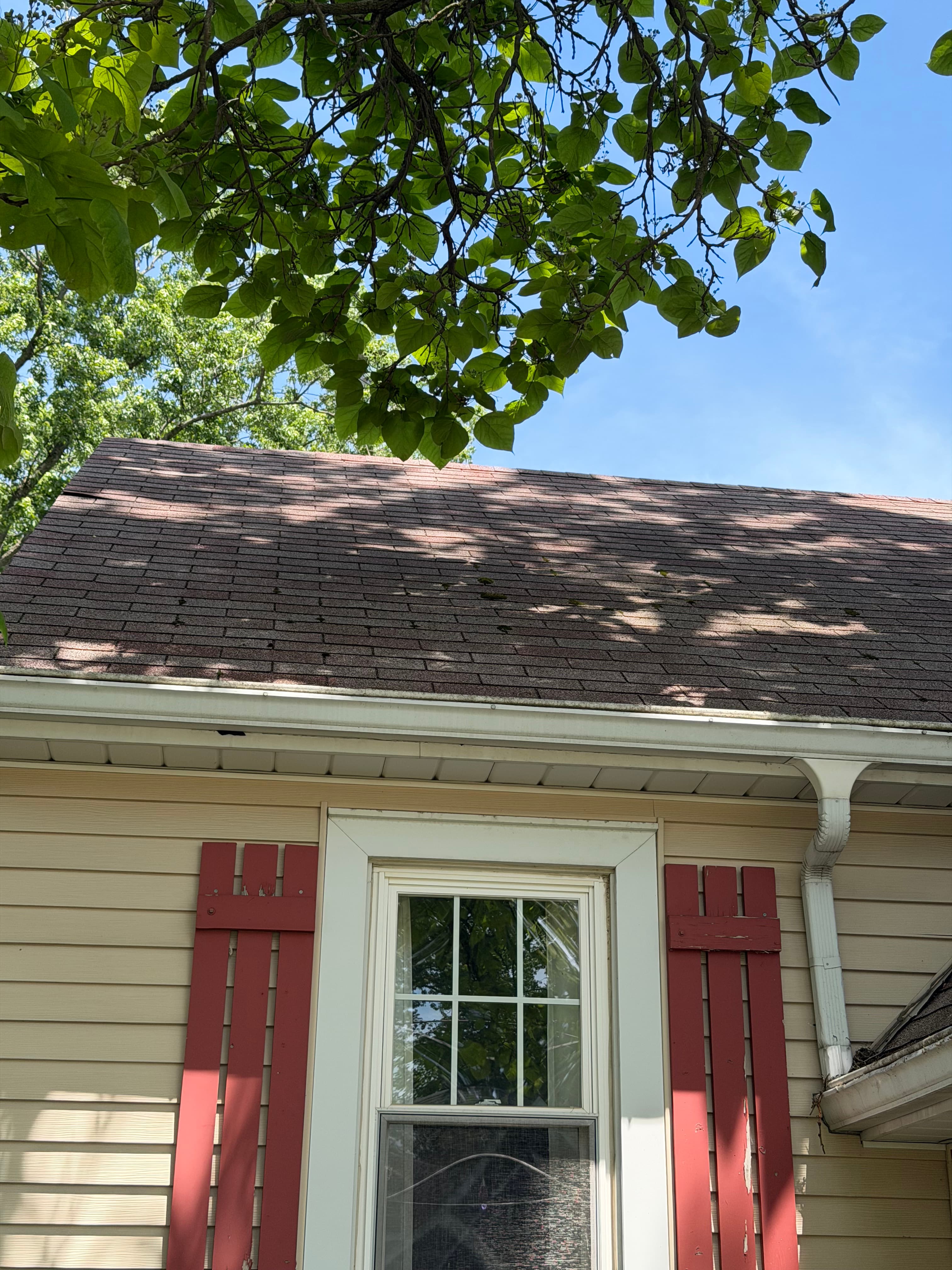 Roof with light stains and moss patches before pressure washing in Crown Point, Indiana.