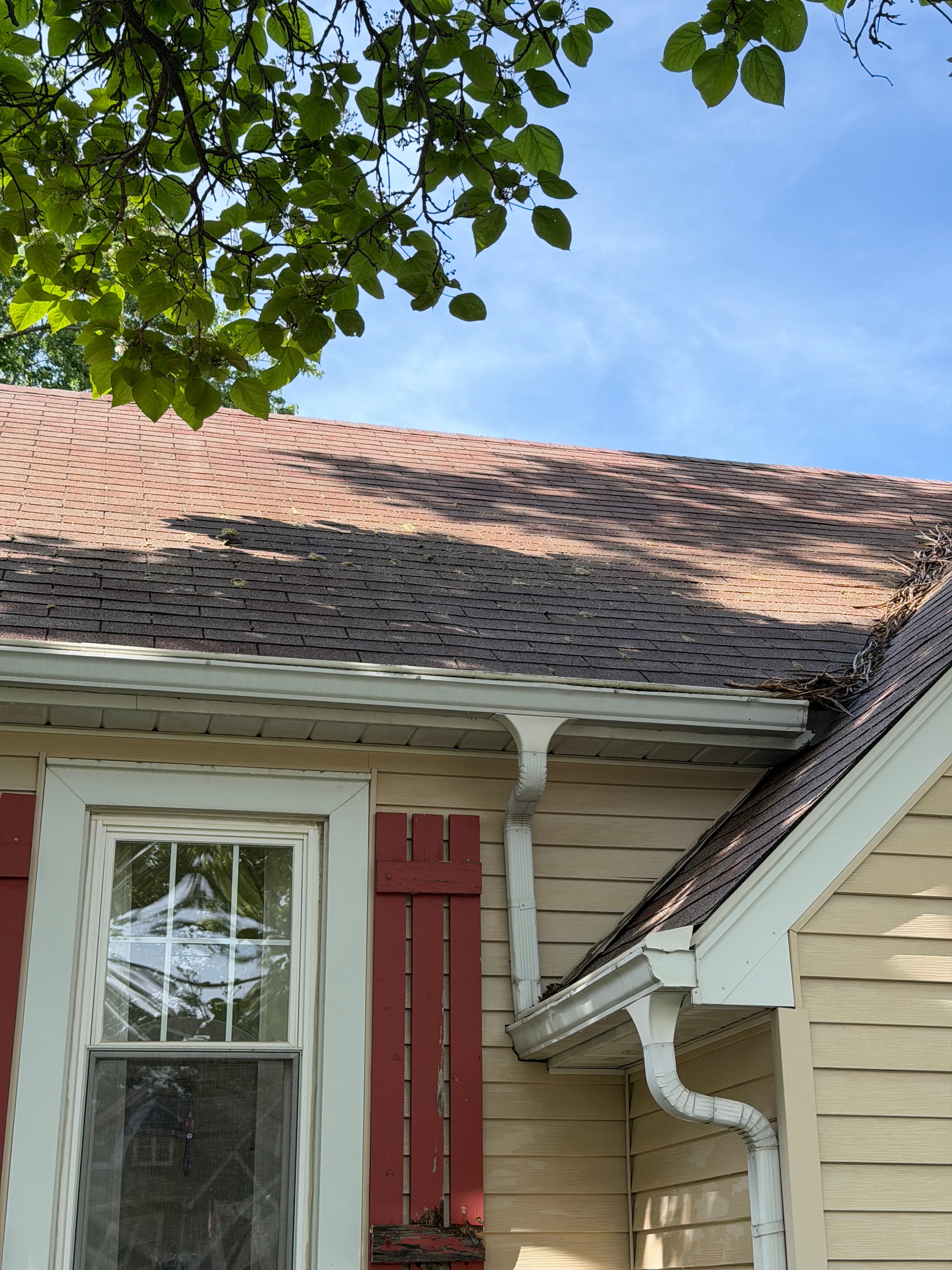 Roof with visible dirt and debris before pressure washing, Crown Point, Indiana.